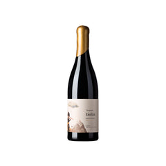 Tampesta Golan Tinto Gran Reserva 2015 DO Leon