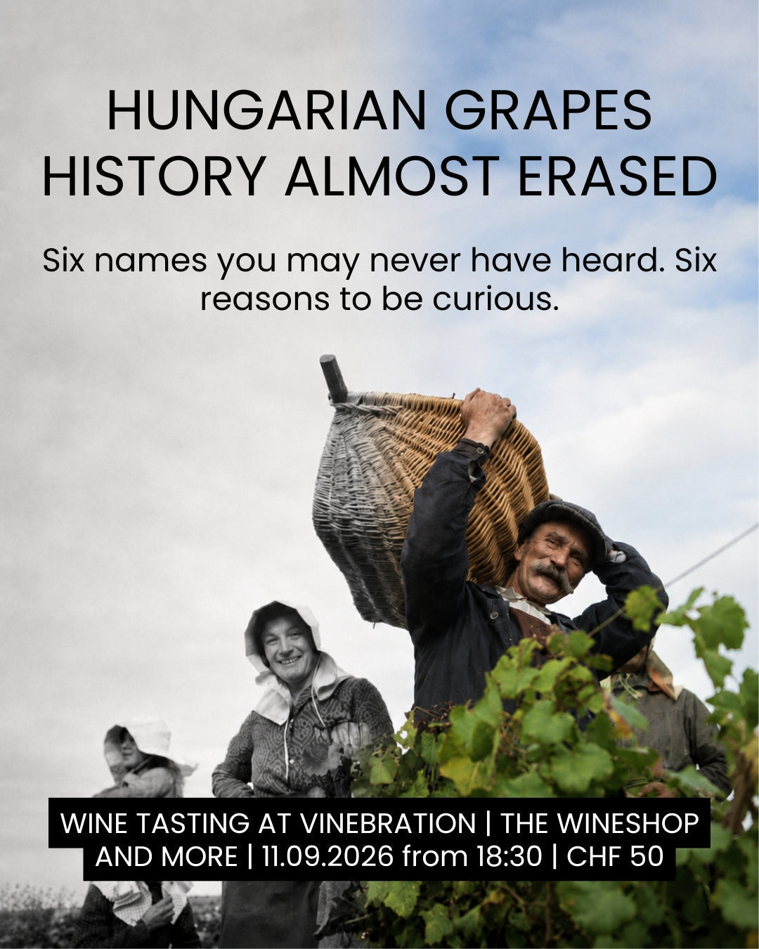 THE GRAPES HISTORY ALMOST ERASED - WINE TASTING