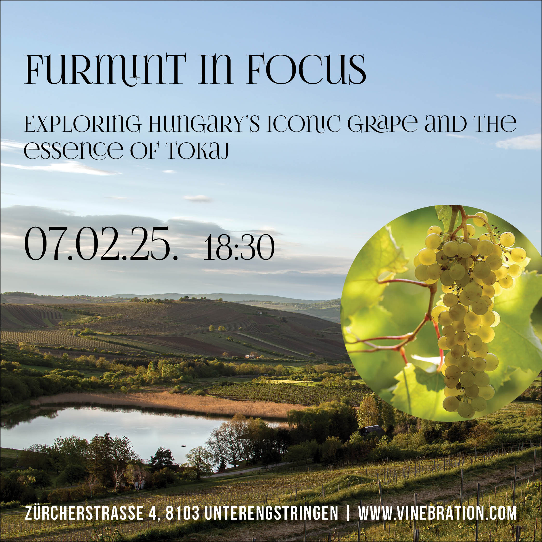 Furmint In Focus - 07.02.2025 18:30