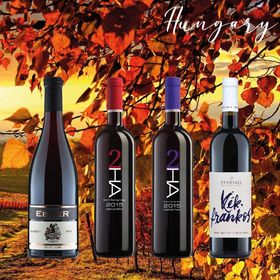 Wine selection for the autumn season